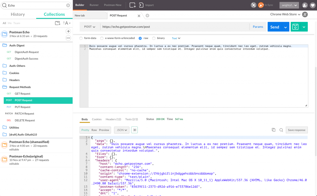 Postman Echo test request