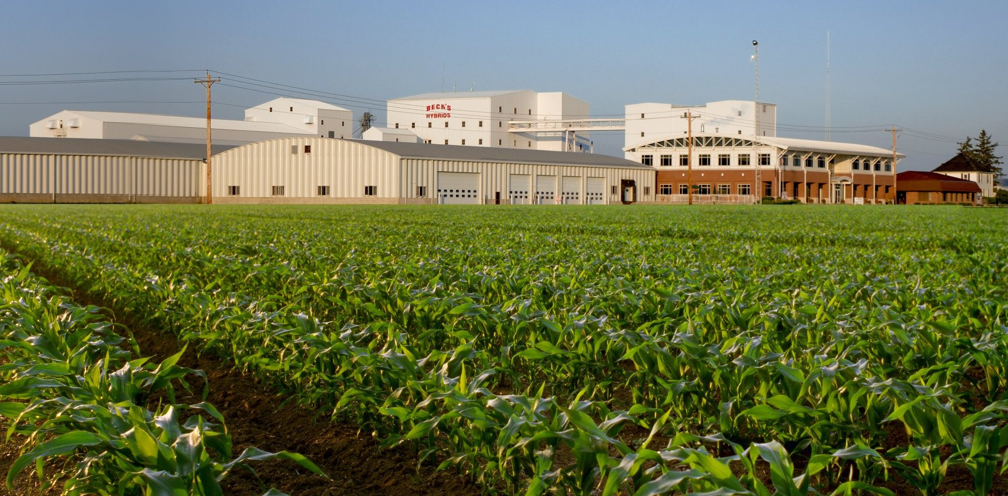 Example of field plantings guided by agriculture technology