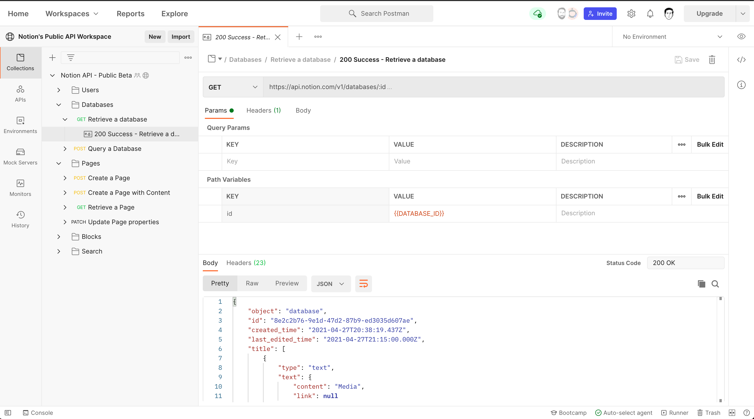 Example success response when retrieving a database using our Postman Collection