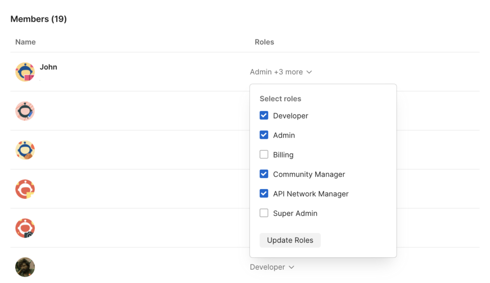 Adding API Network Manager role under Members in Team Settings