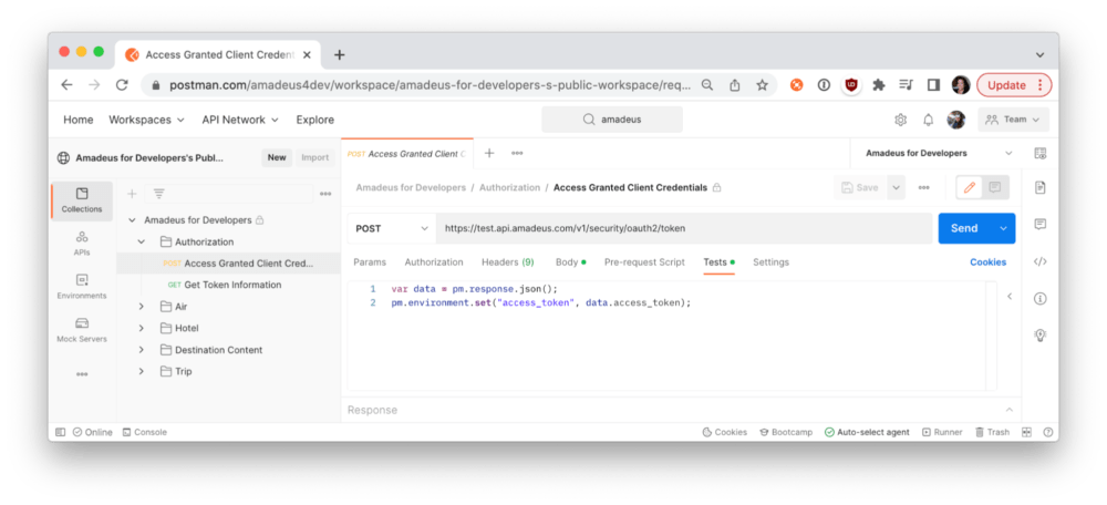 Amadeus collection sets authorization token in an environment to re-use throughout the collection